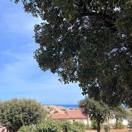 Appartement Rez De Villa LʼÎle-Rousse エクステリア 写真