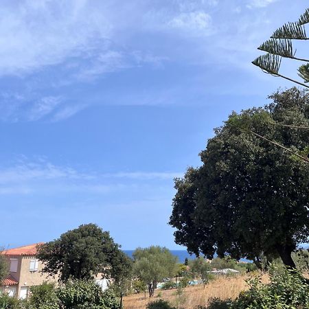 Appartement Rez De Villa LʼÎle-Rousse エクステリア 写真