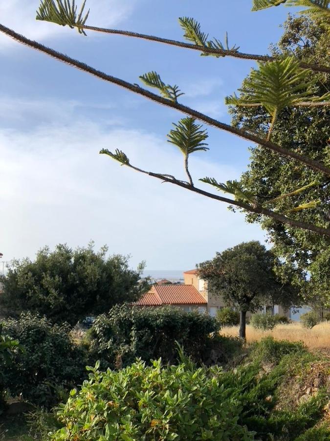 Appartement Rez De Villa LʼÎle-Rousse エクステリア 写真