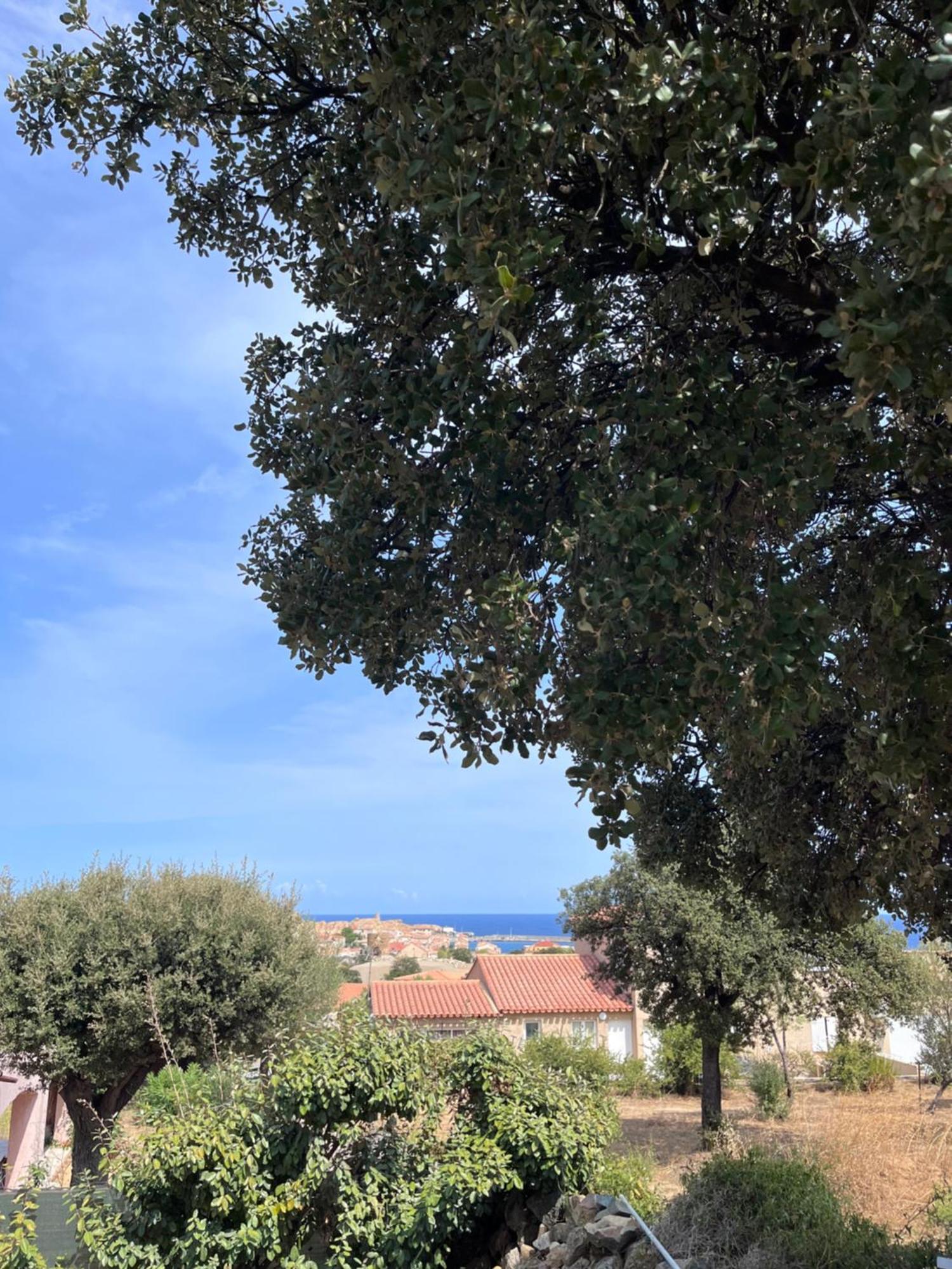 Appartement Rez De Villa LʼÎle-Rousse エクステリア 写真