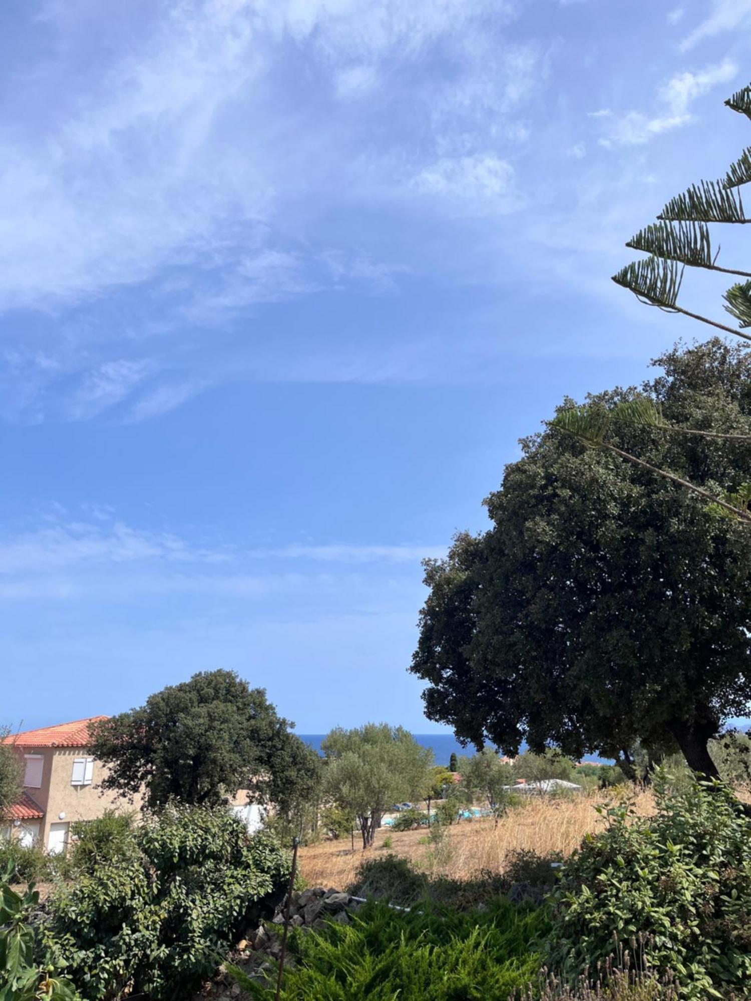Appartement Rez De Villa LʼÎle-Rousse エクステリア 写真